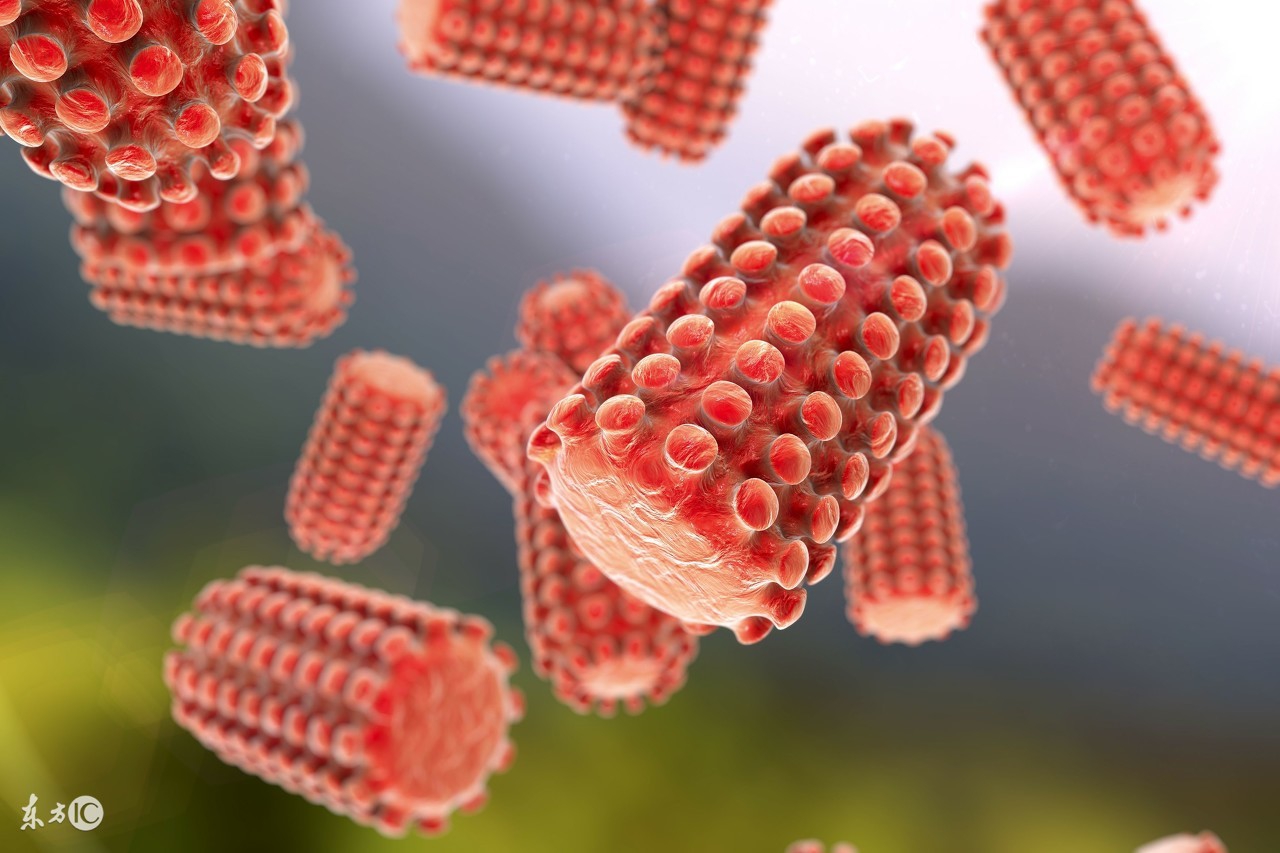 关于狂犬病的知识,关于狂犬病的科普知识