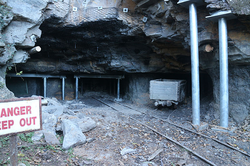 悉尼蓝山景点怎么样啊,悉尼蓝山一日游跟团