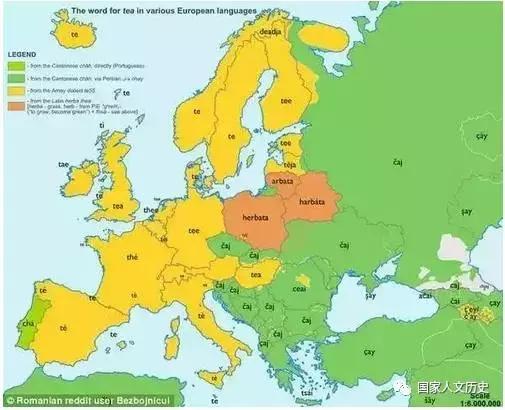 天下“茶”字同一宗:英语里为何既有“cha”又有“tea”?