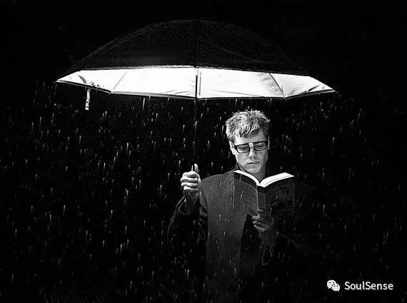 收藏雨伞,高档收藏雨伞