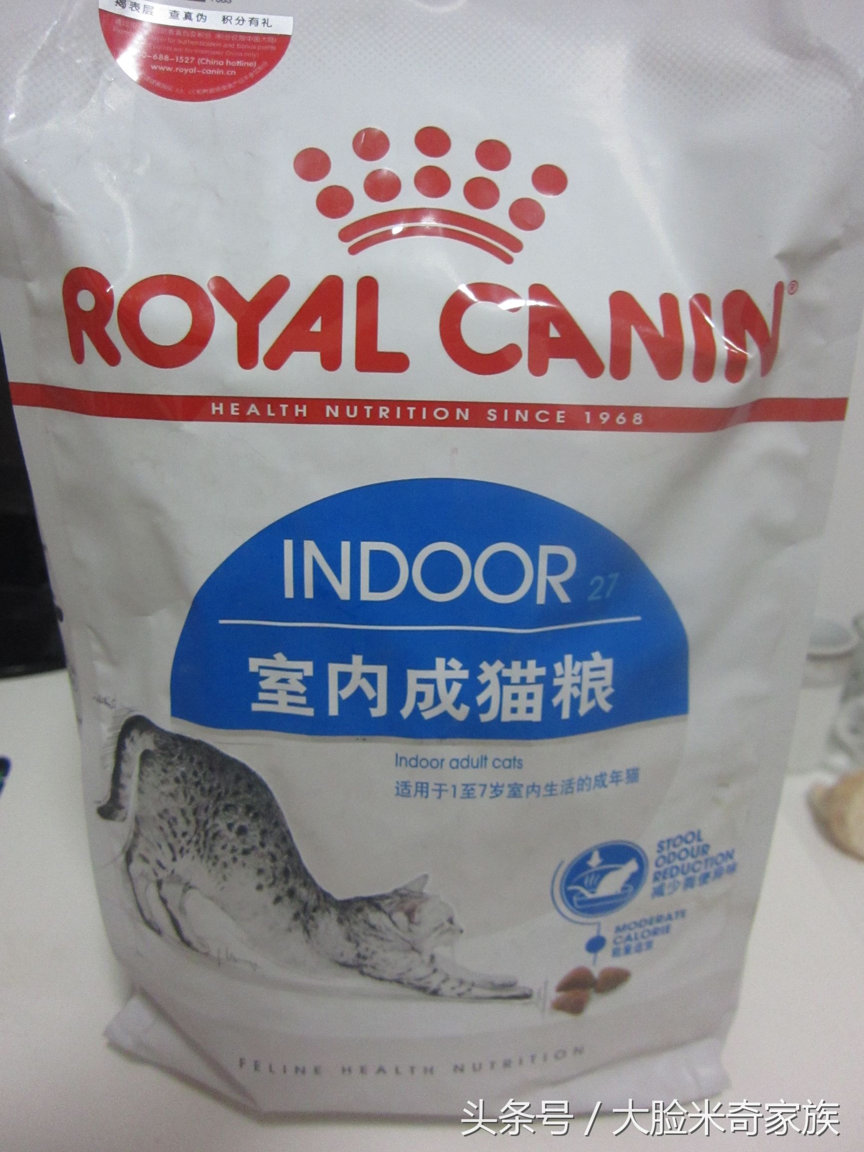 能满足猫咪日常营养的猫,想给猫改善伙食