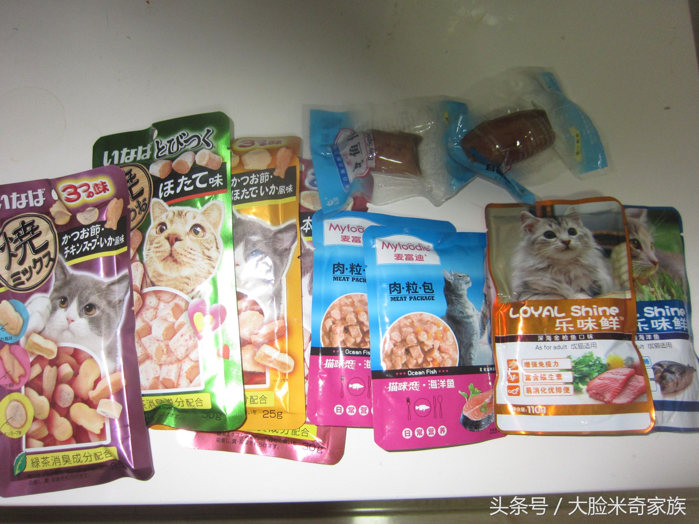 能满足猫咪日常营养的猫,想给猫改善伙食