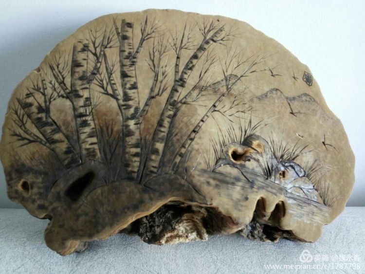 内蒙古草原旅游度假村,内蒙古敖鲁古雅景区