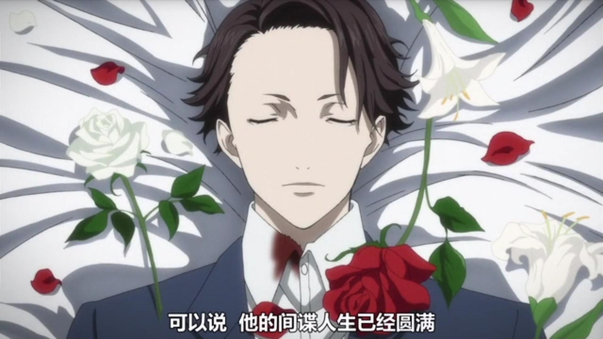 代号d机关,代号d是啥意思