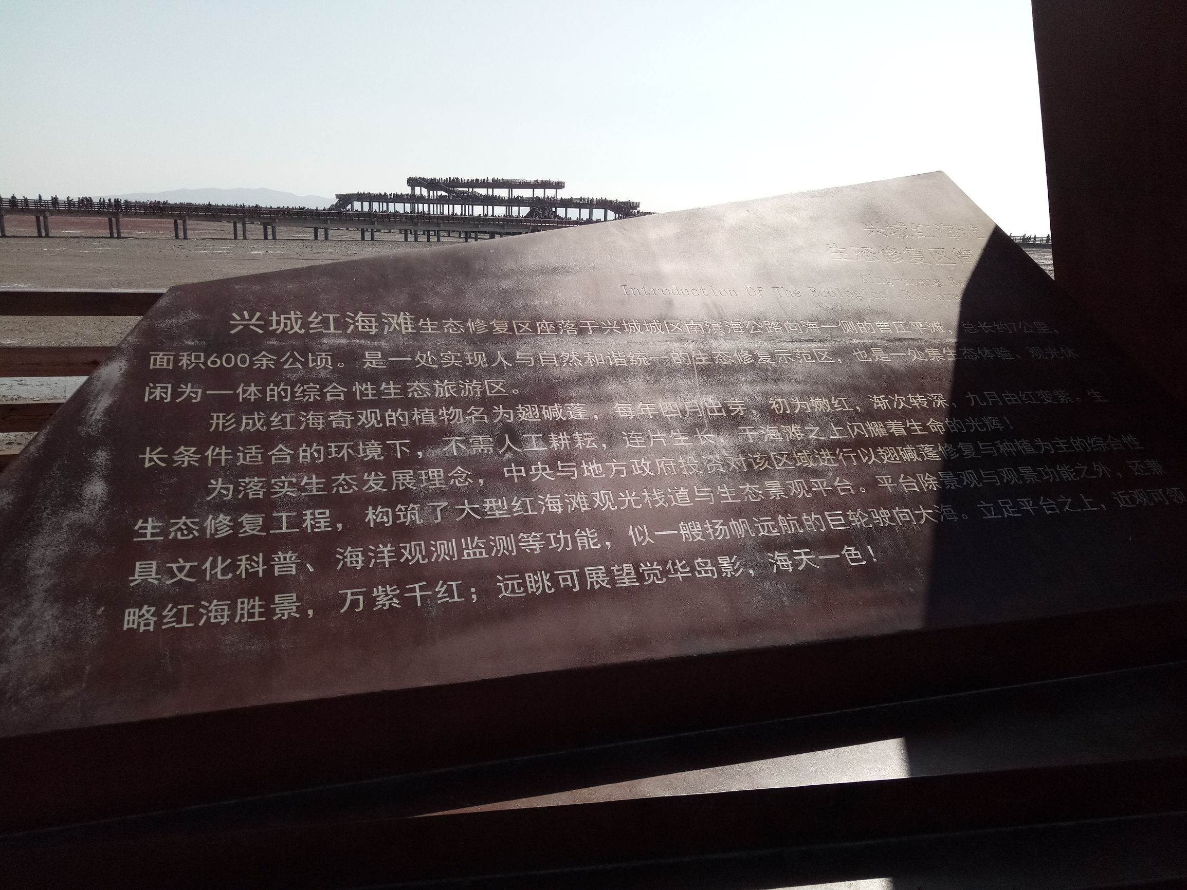 葫芦岛兴城红海滩几月最好,葫芦岛红海滩风景视频