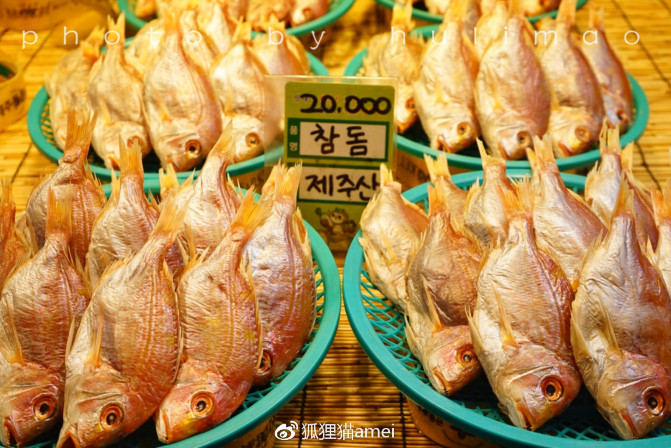 济州自由行,济州岛游记推荐