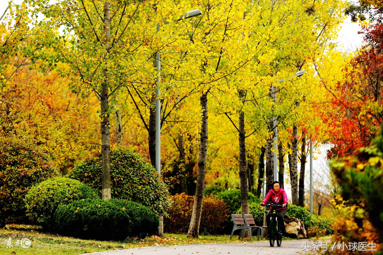 肾病常识100个,肾病防治科普知识100问