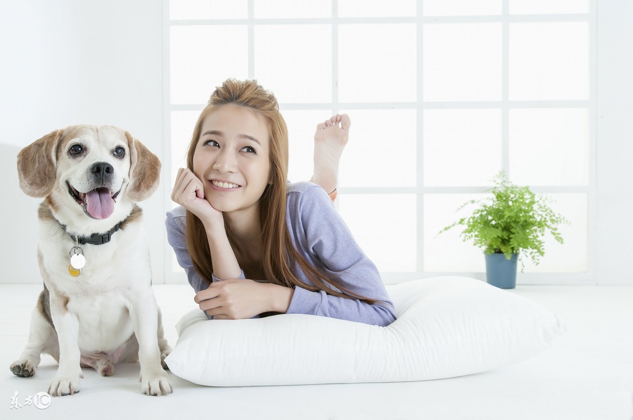 别不可思议,狗狗也有生理期!