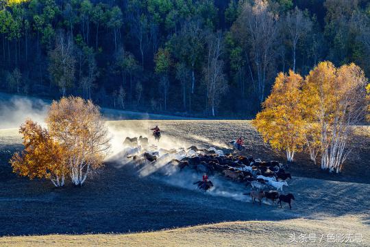 尼康d850配适马85mmf1.4art,适马小黑五代尼康d850
