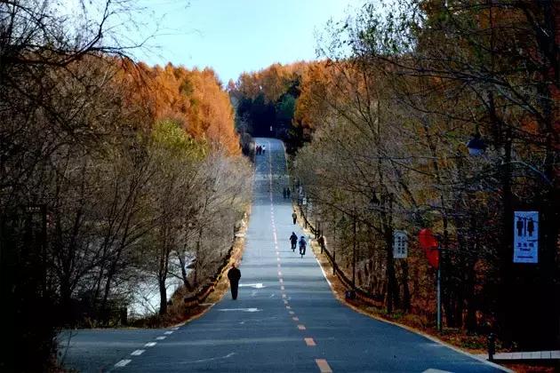 长春冬季最美拍照地,长春有一个很适合拍照的地方