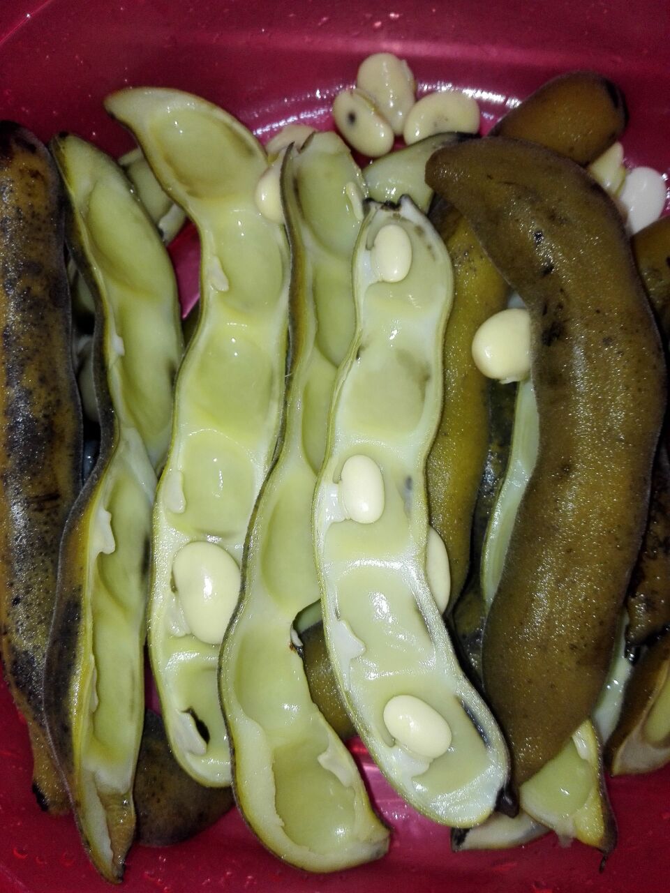 超级下饭菜豆角牛肉粒,超下饭的蒜苗牛肉粒