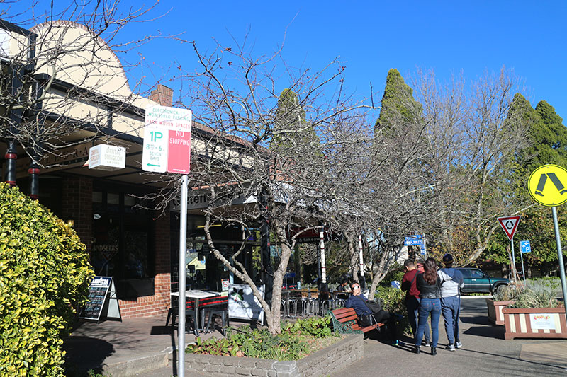 悉尼蓝山景点怎么样啊,悉尼蓝山一日游跟团
