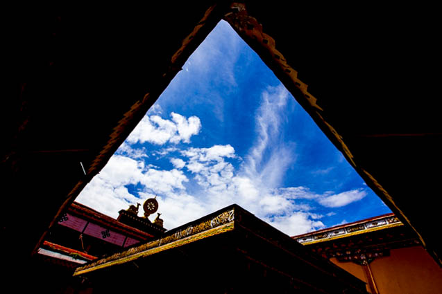 *藏西**的山石上，抱琴不愿归