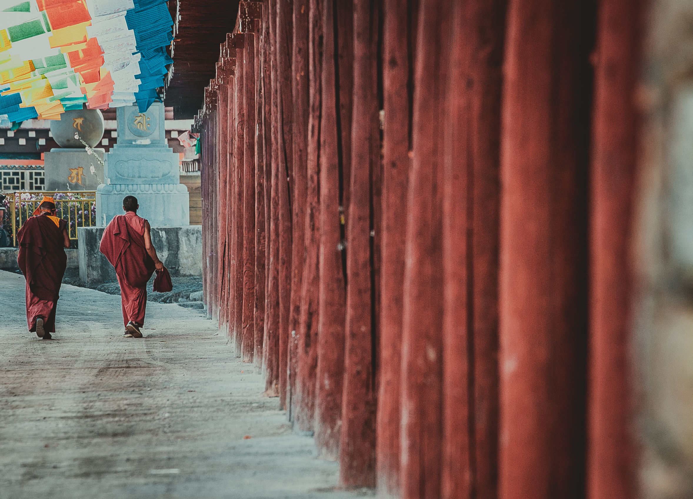 *藏西**的山石上，抱琴不愿归