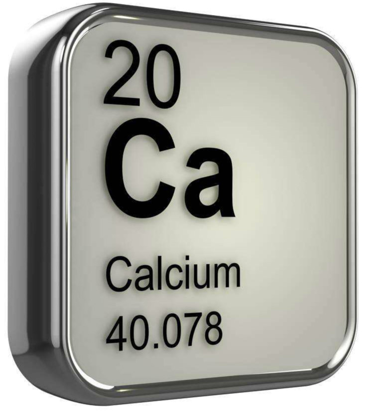 高钙高蛋白有什么帮助,补钙过多对心血管的危害