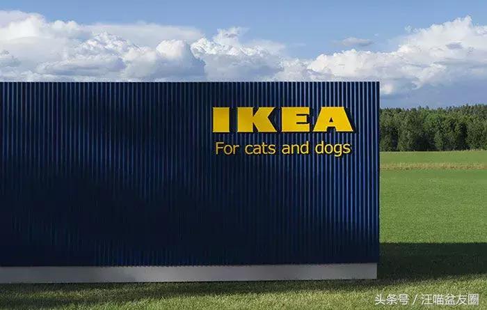 宜家宠物家具效果图,宜家宠物专区有哪些