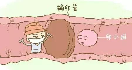 怎么自测是不是输卵管堵塞,自测输卵管堵塞妙招