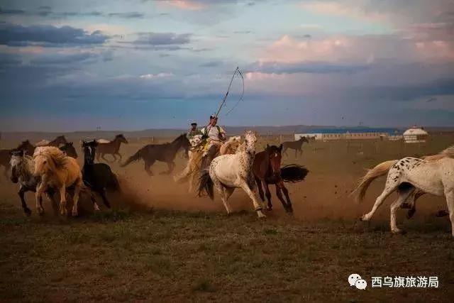 去了内蒙为什么敬酒三杯,哈达怎么接,马奶也是良药?