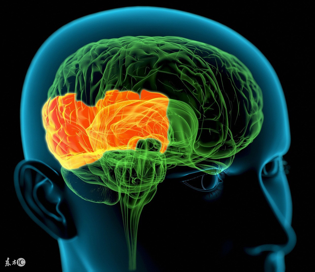查理芒格误判心理学讲解视频,芒格人类误判心理学出自哪一本书