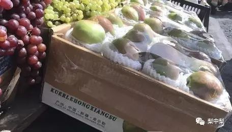 真假香梨,真假库尔勒香梨区别