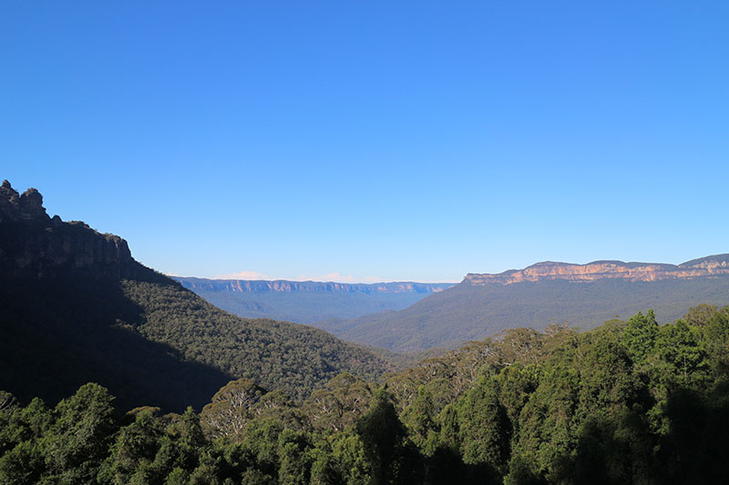 悉尼蓝山景点怎么样啊,悉尼蓝山一日游跟团