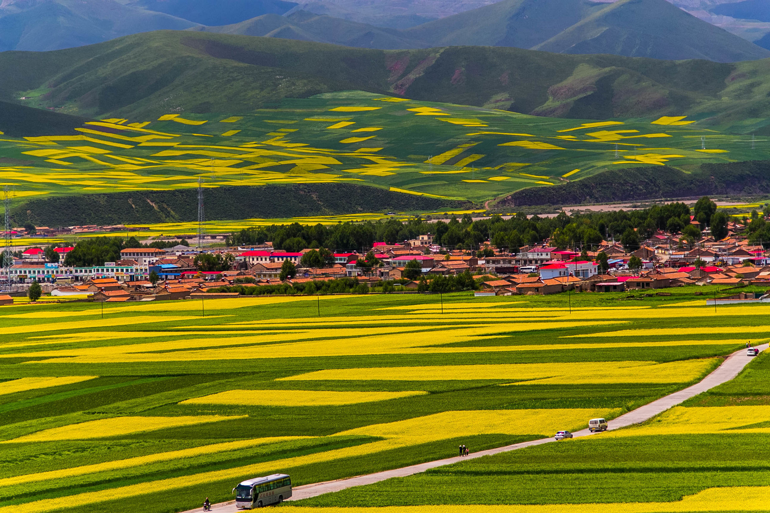 *藏西**的山石上，抱琴不愿归