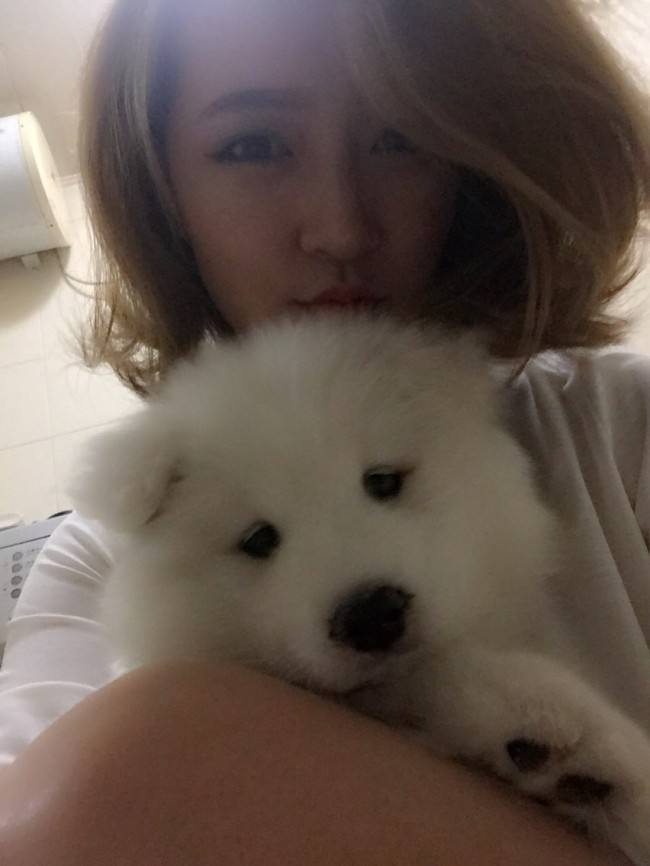 想养宠物，萨摩耶会不会太大了？还行