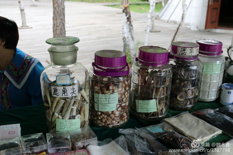 内蒙古草原旅游度假村,内蒙古敖鲁古雅景区