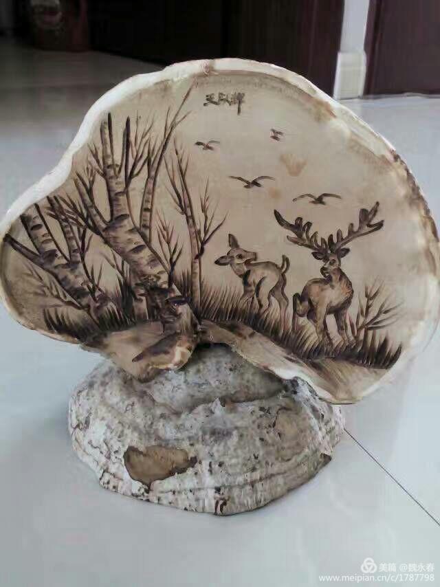 内蒙古草原旅游度假村,内蒙古敖鲁古雅景区