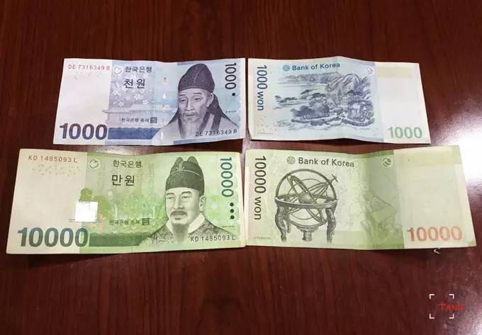 做一只治愈的猫,做一只快乐的柴犬