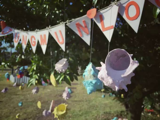 做一只治愈的猫,做一只快乐的柴犬