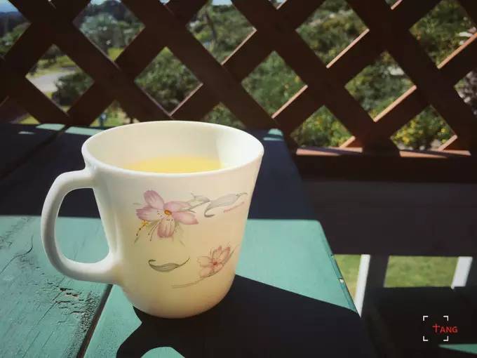 做一只治愈的猫,做一只快乐的柴犬