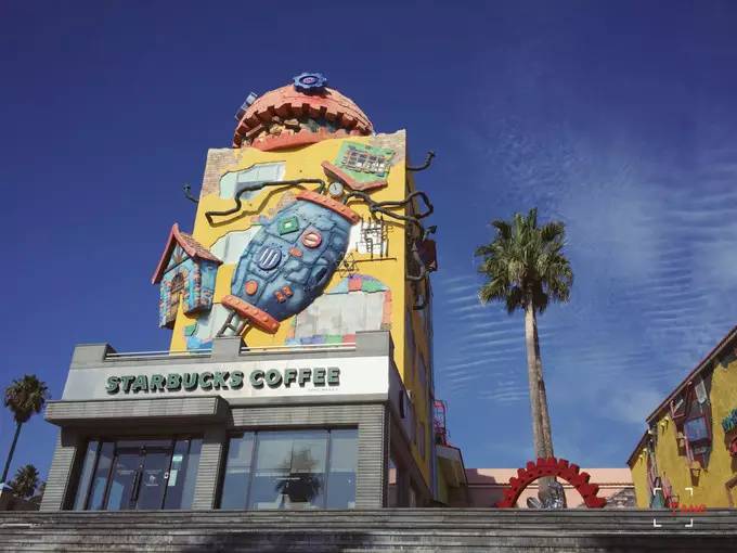 做一只治愈的猫,做一只快乐的柴犬