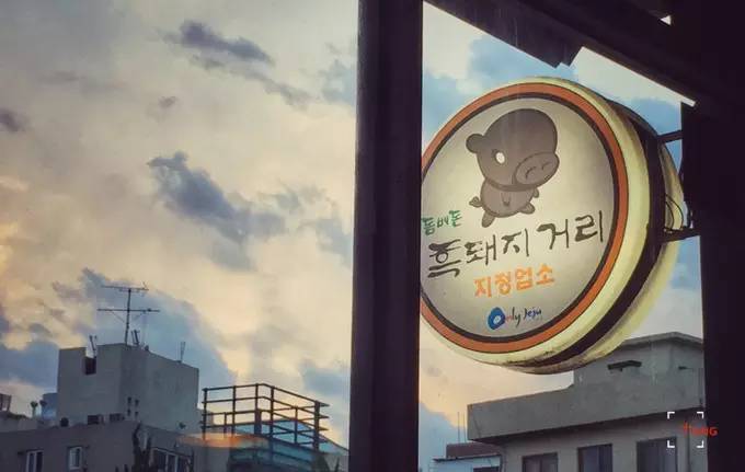 做一只治愈的猫,做一只快乐的柴犬