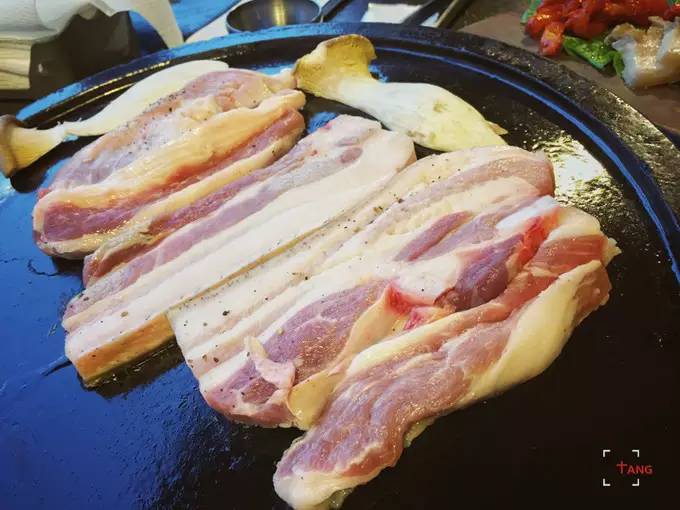 做一只治愈的猫,做一只快乐的柴犬