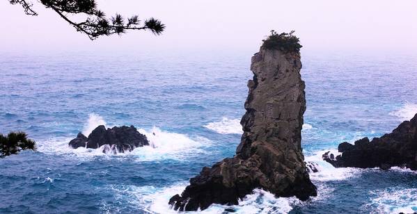 出川旅行记音乐,出川记