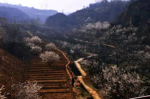 洛阳适合中学生好玩免费景点,洛阳各个景点的介绍
