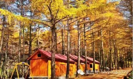 洛阳适合中学生好玩免费景点,洛阳各个景点的介绍