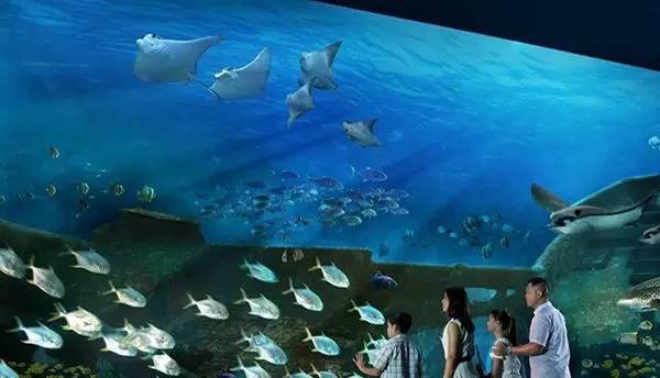 洛阳适合中学生好玩免费景点,洛阳各个景点的介绍