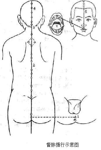 道家打坐十二步秘功功法详解第三步开通奇经八脉