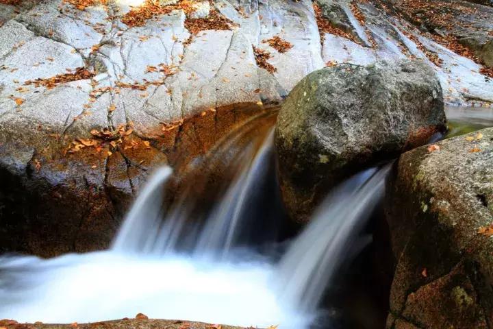 成都乐山红叶彩林,四川红叶彩林旅游节