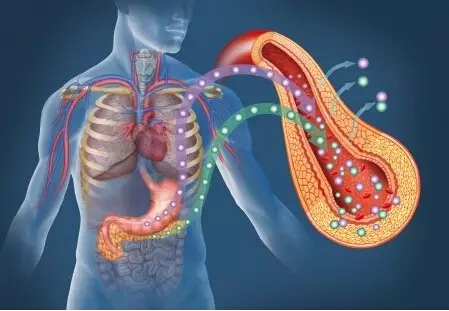 科普常见胰岛素认识的误区,胰岛素的误区和疑问