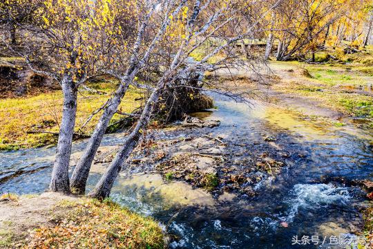 尼康d850配适马85mmf1.4art,适马小黑五代尼康d850