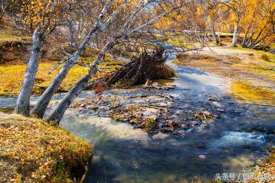 尼康d850配适马85mmf1.4art,适马小黑五代尼康d850