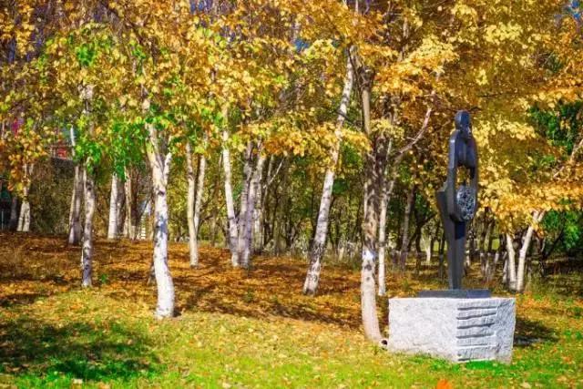 长春冬季最美拍照地,长春有一个很适合拍照的地方