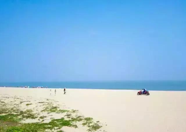 厦门旅游景点必去攻略自由行,厦门旅游攻略最好的城市自由行