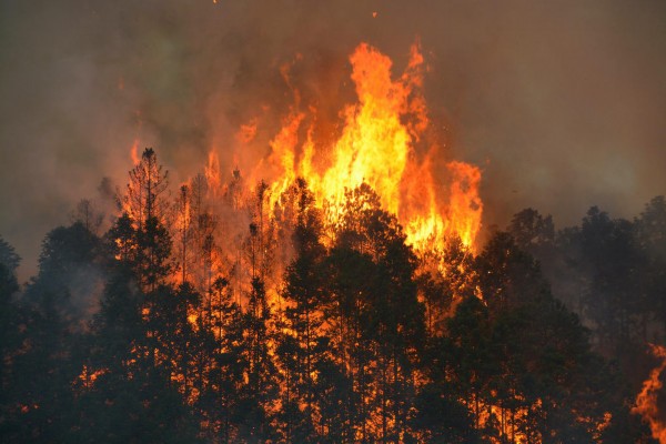 紧急避孕药失败怀孕了胎儿能要吗,要孩子需要避免什么