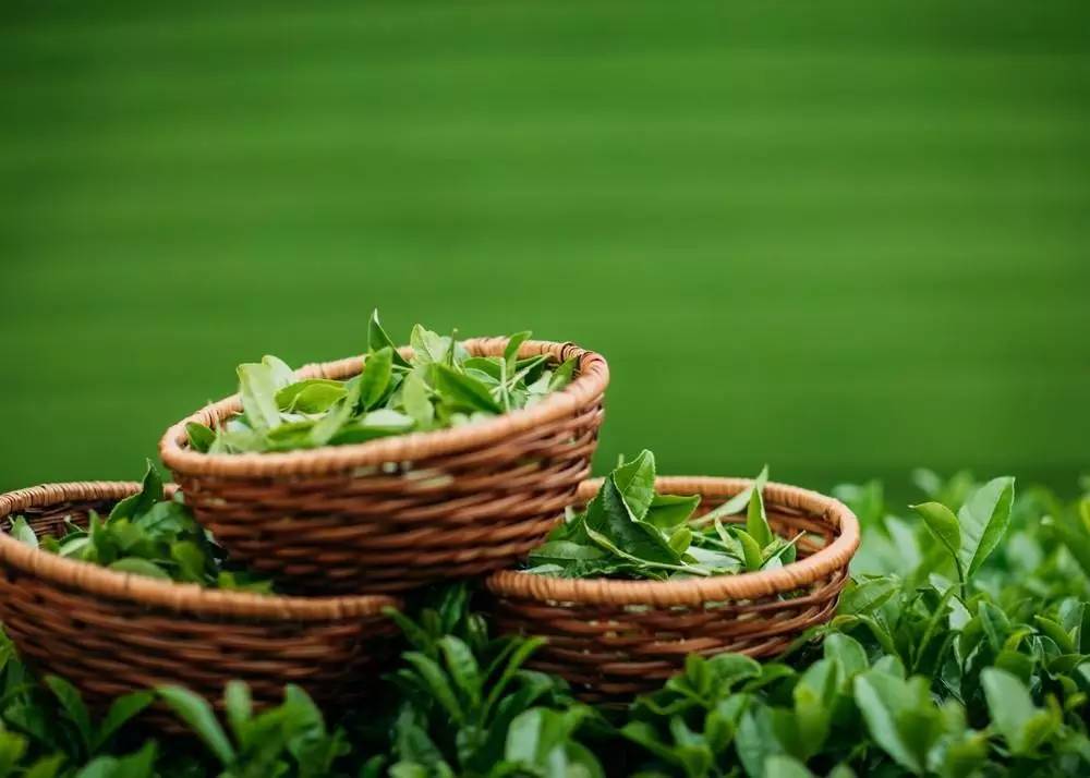 推广|她们靠瞎折腾，赢得了王子心