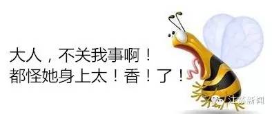 踏青被蜜蜂蜇,花海被蜜蜂蜇了