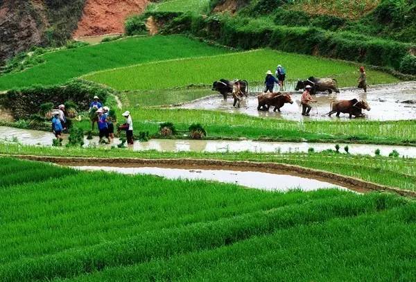 出了广西就看不到的风景,出了广西不知道怎么过马路